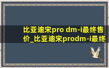 比亚迪宋pro dm-i最终售价_比亚迪宋prodm-i最终售价多少